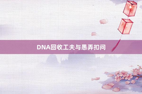 DNA回收工夫与愚弄扣问